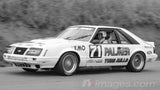 1:18 Scale 1984 Bathurst 1000 #71 Ford Mustang Johnson/French Model (PRE-ORDER) (50% DEPOSIT, $299 FULL PRICE)